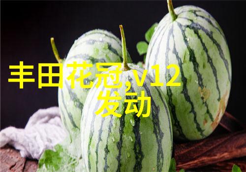 简夏冷廷遇对着镜子做视频-镜中花影简夏与冷廷的静谧舞台