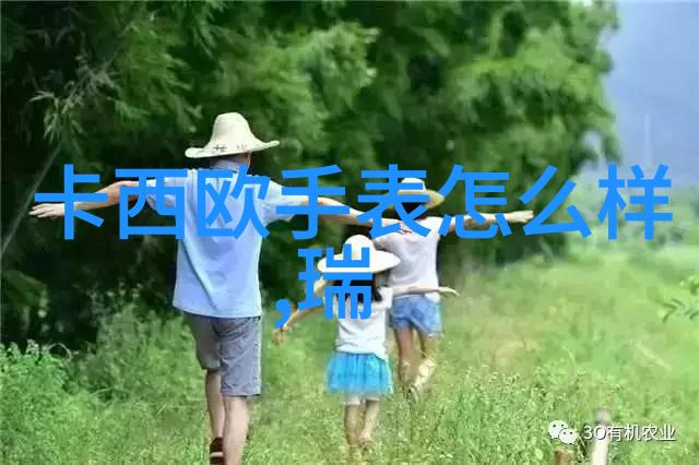 小巧玲珑的家居宝石探索各种小柜子的魅力与实用性