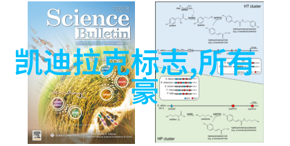 重生之最佳再婚爱情与选择的重新编织