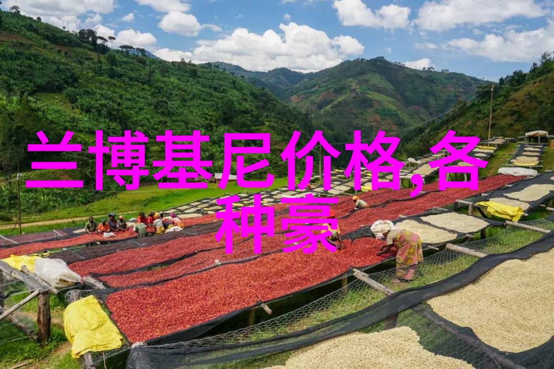 家居效果图解析创造完美居住空间的艺术之旅