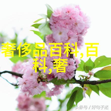 珠宝种类探秘从古至今的璀璨篇章