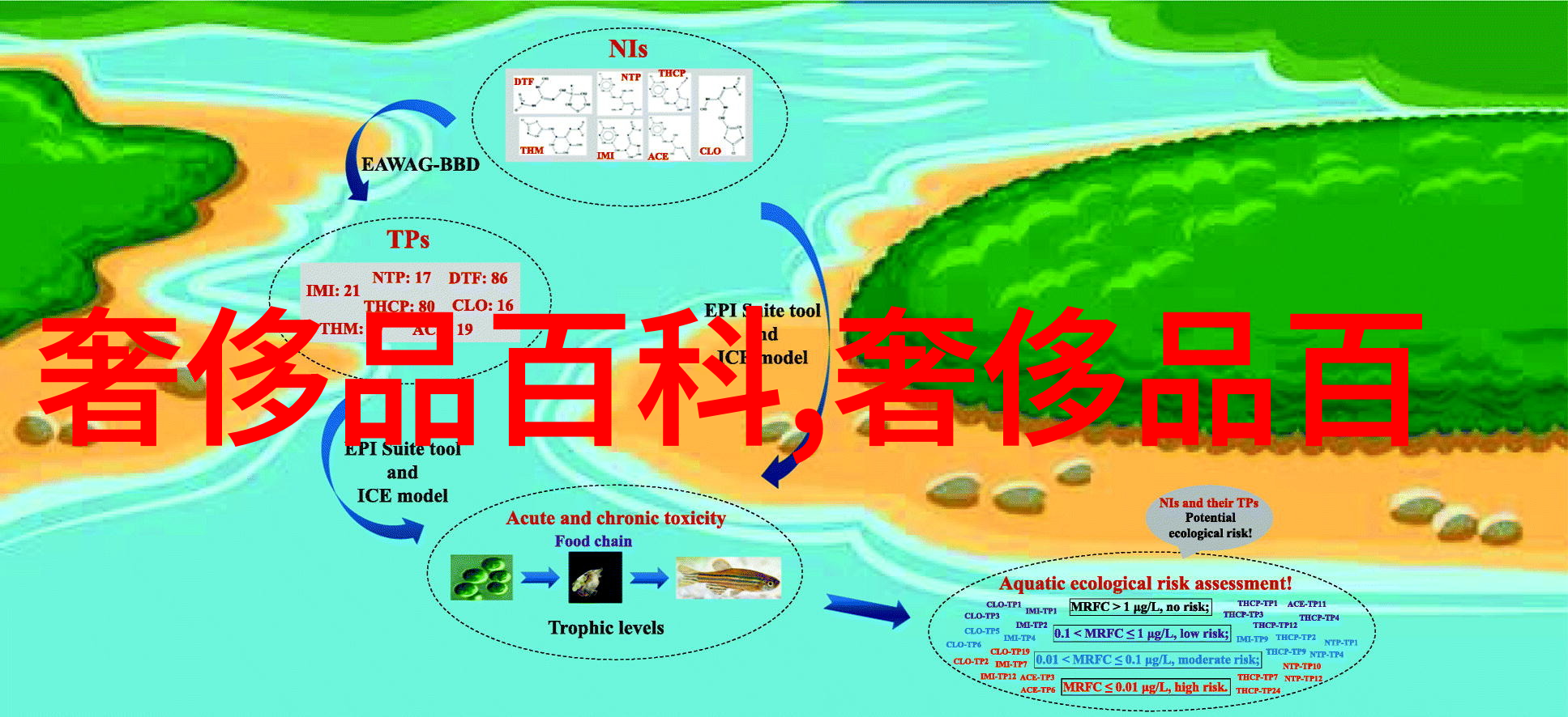 未得灿烂探索失落的辉煌与沉默的英雄