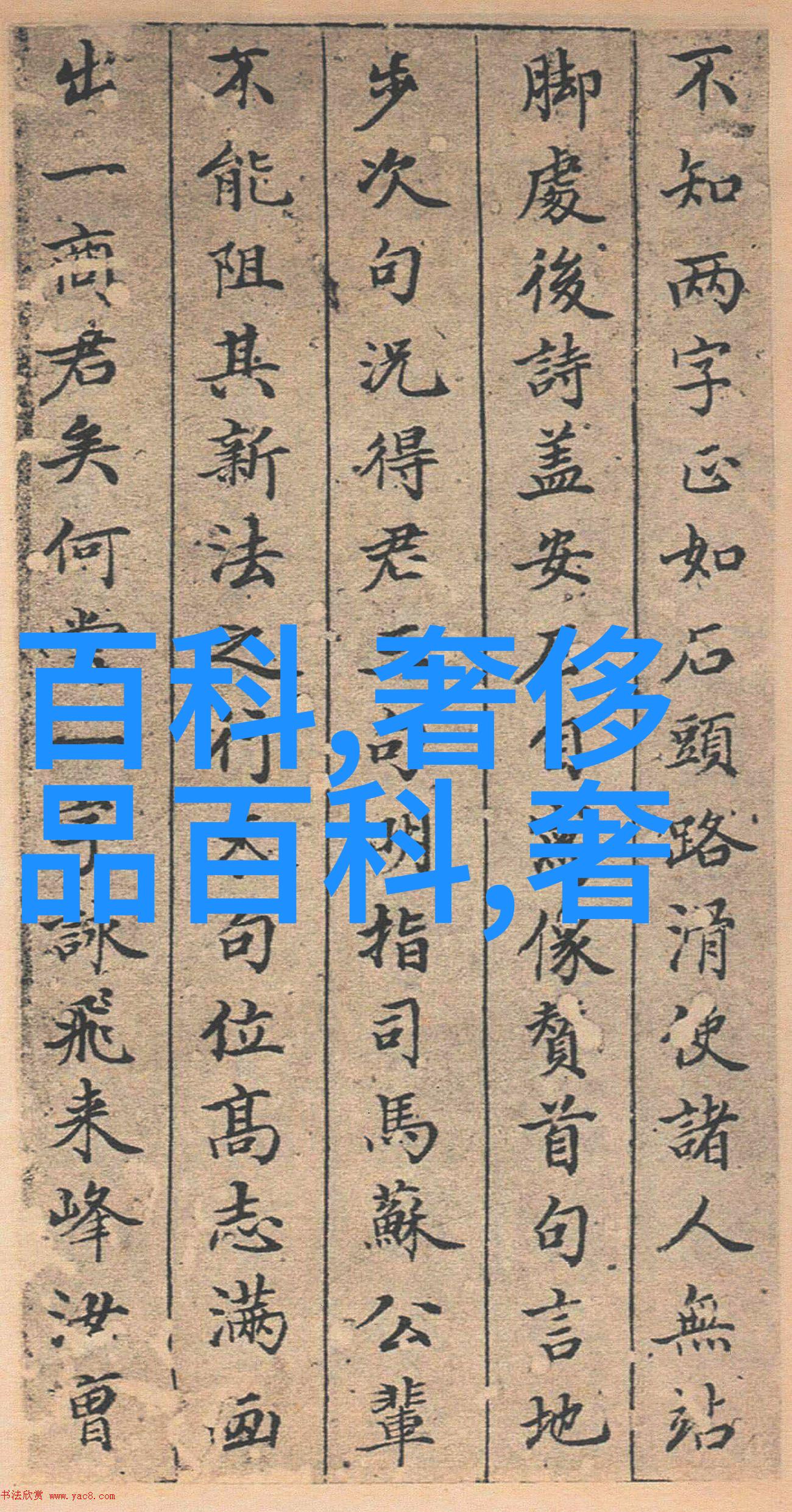 海鲜美食-探秘腿再分大点就可以吃到扇贝了视频背后的烹饪秘诀