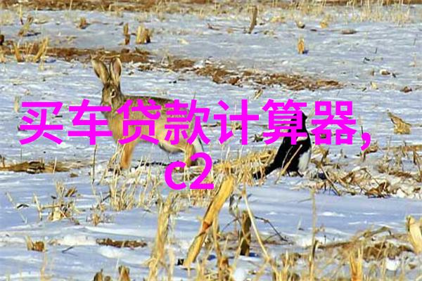 斯里兰卡野生动物保护区游记与野生动物共舞