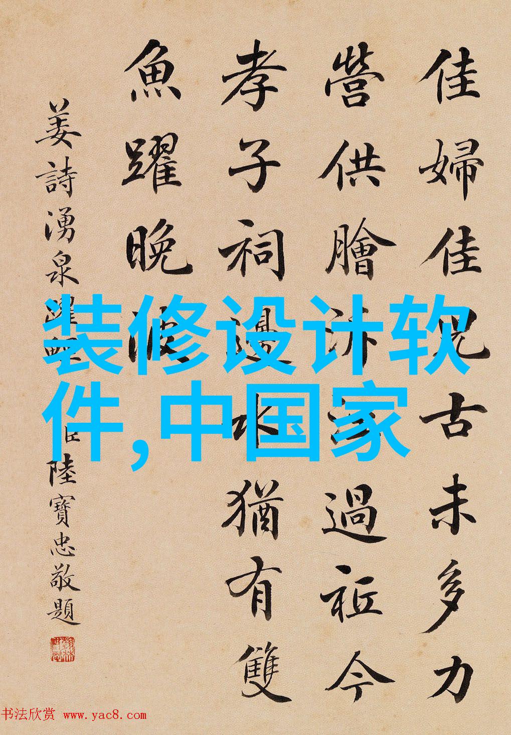 验证与证明医生如何利用专门软件分析并从验证数据中为您量度最合适的隐形或显微装饰