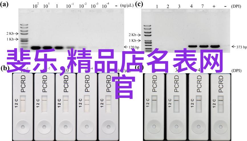 各种小柜子的美学与实用家居装饰中的多功能储物解决方案