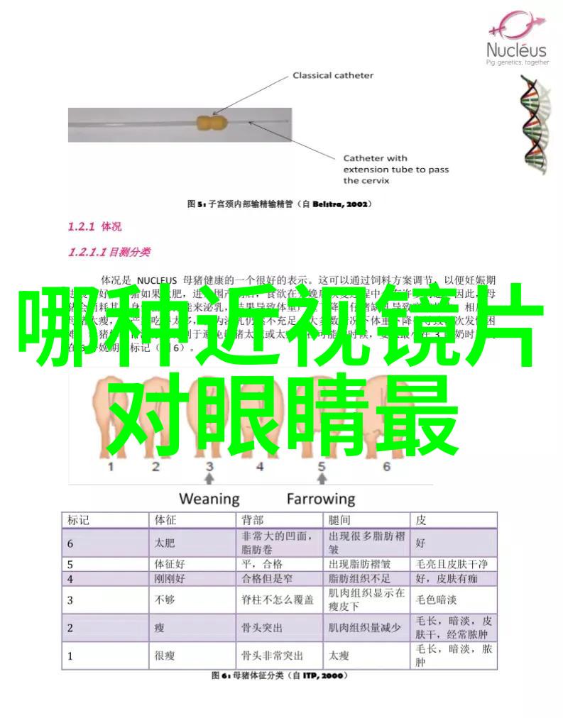 优酷原创精选唯嘉小酒窝美食分享生活小品