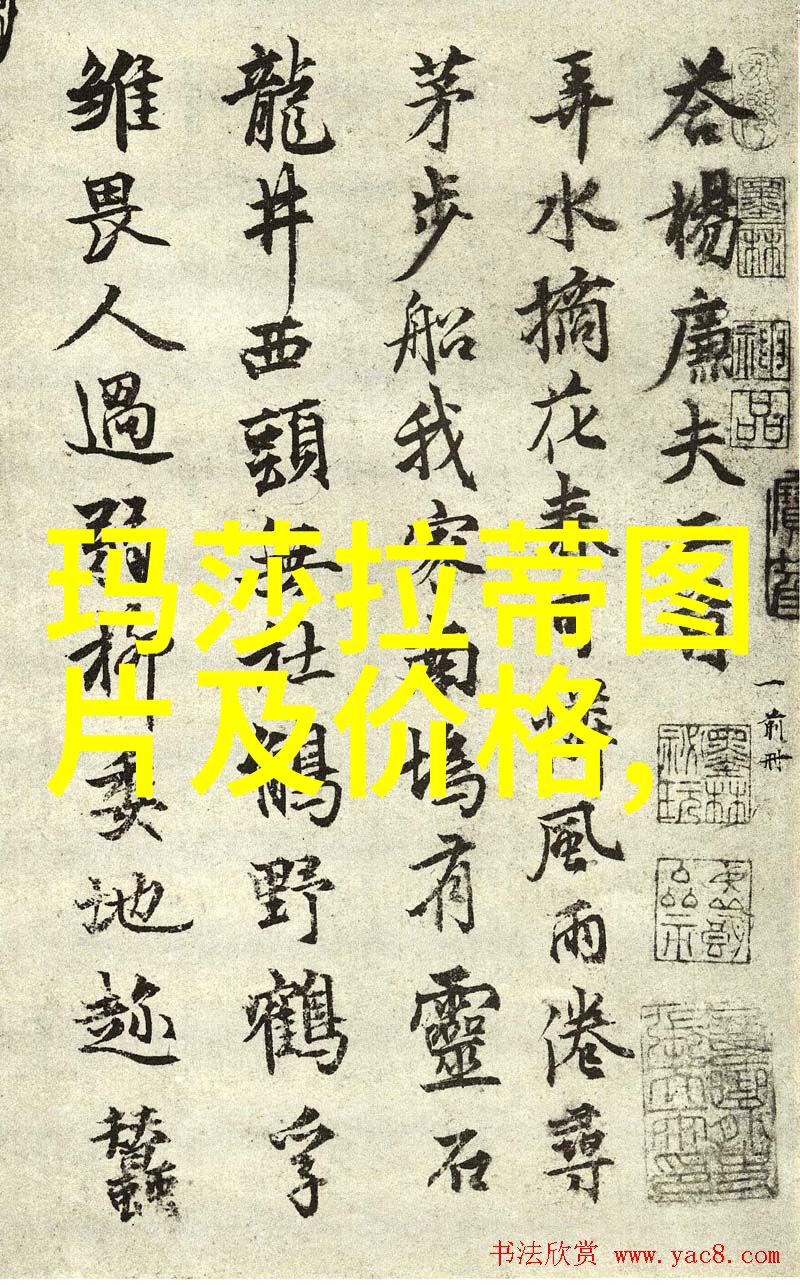 眼镜的魅力与挑战从历史到时尚再到技术革新