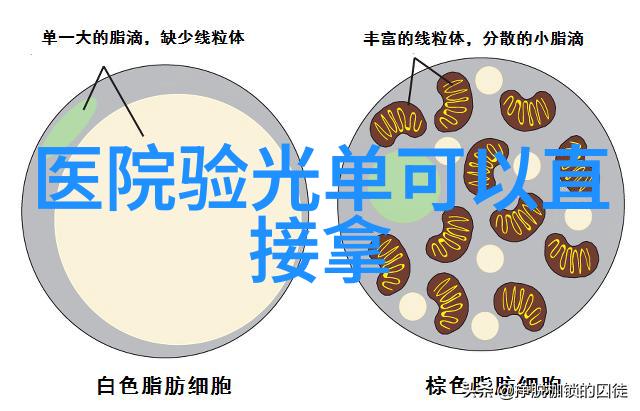 主题我是如何在网上找到了劳斯莱斯古斯特价格的秘密这篇文章将分享一个真实的故事讲述了作者如何通过网络资