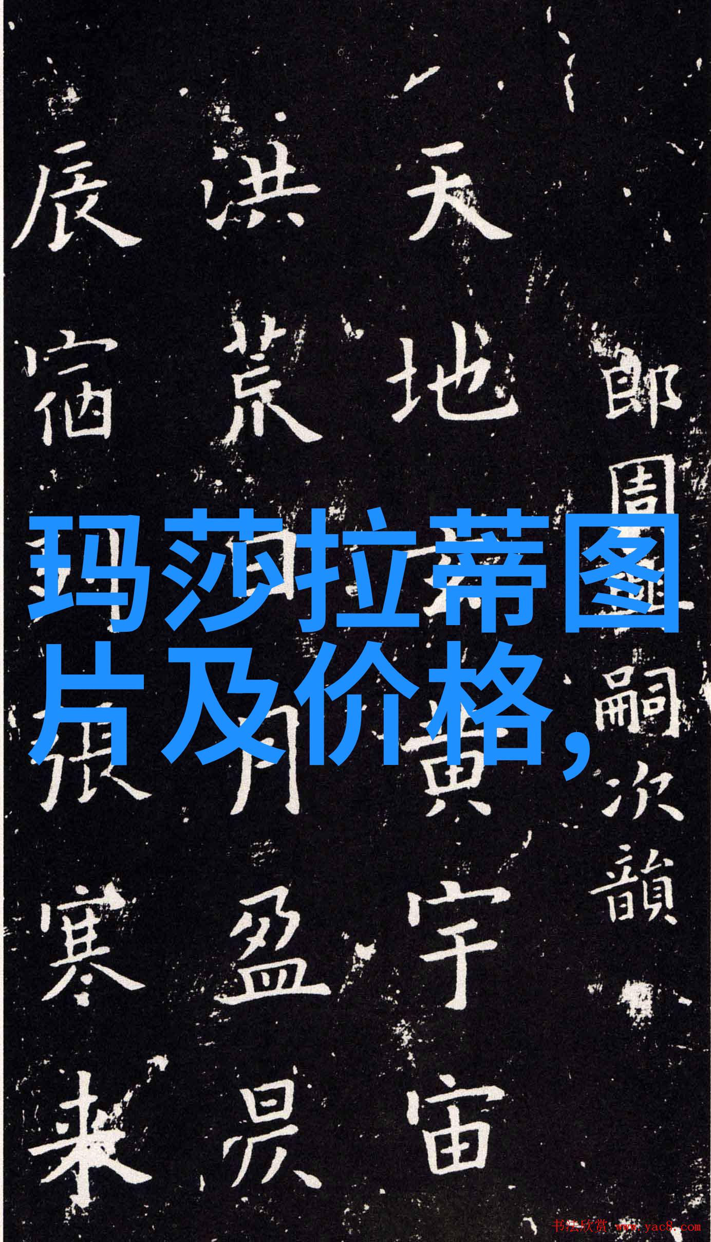 编发型大师从初学者到造型天后教你如何用一把剪刀和一些幽默感让头发跳起来