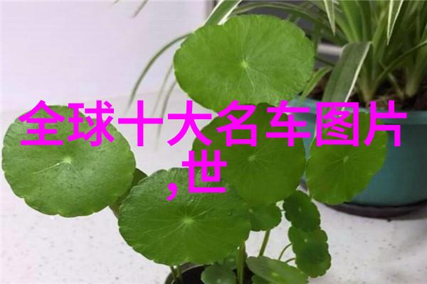 主题我来帮你搞定那套索菲亚全屋定制价目表