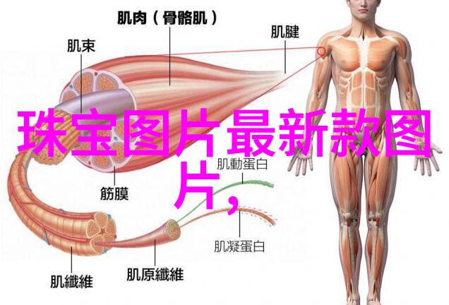 五行天-跨越星辰的五行之旅揭秘宇宙的奥秘