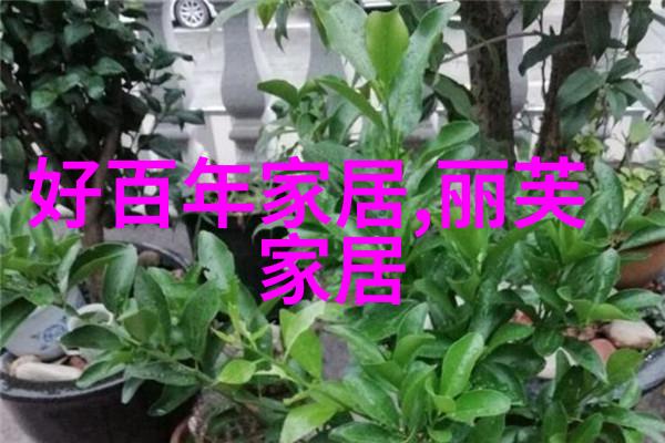 如何用中长发创造多样化的日常和晚宴造型