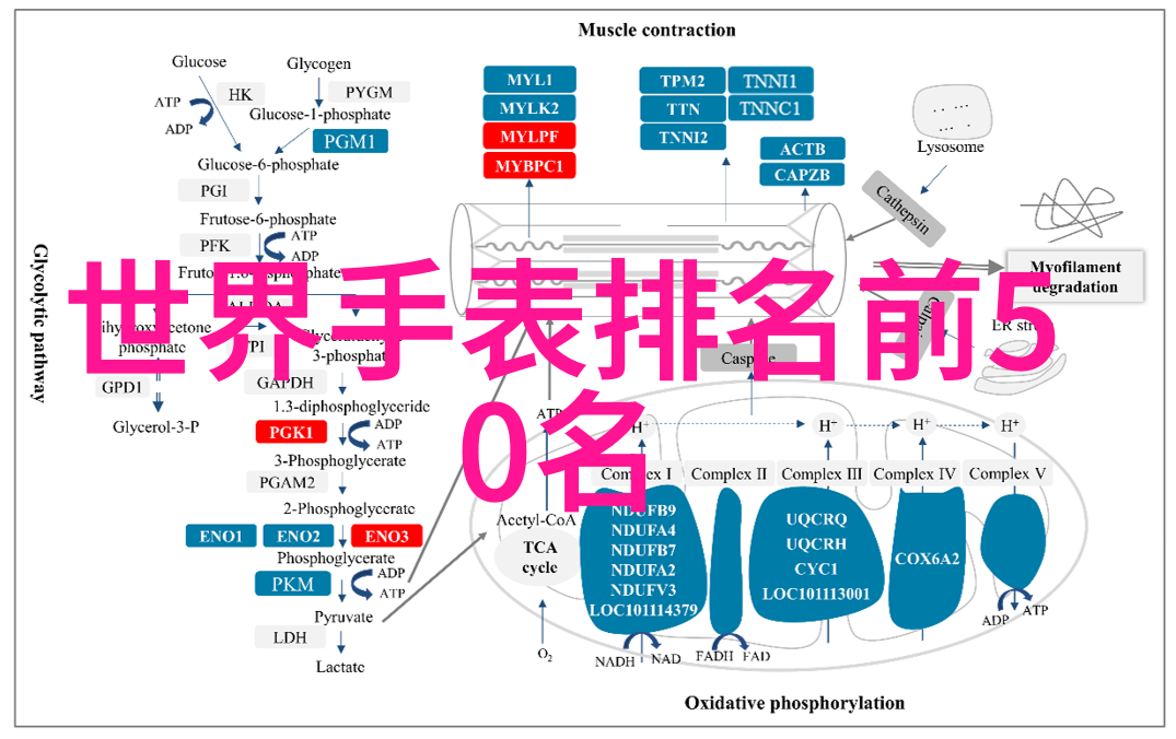 给自己我想听的日本版免费播放片头曲