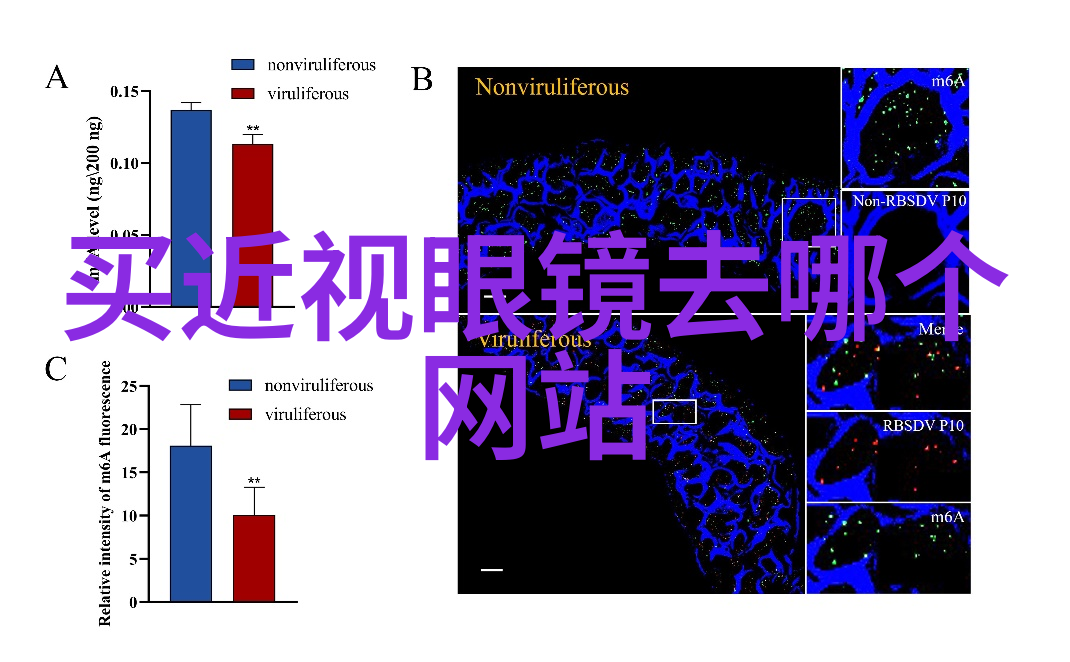 色彩挑战与技巧分享如何让你的新娘头皮花朵绚烂多彩