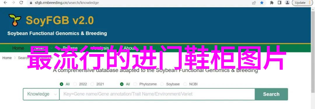 家居生活-探秘附近家具加工厂家精工制造的舒适与美观