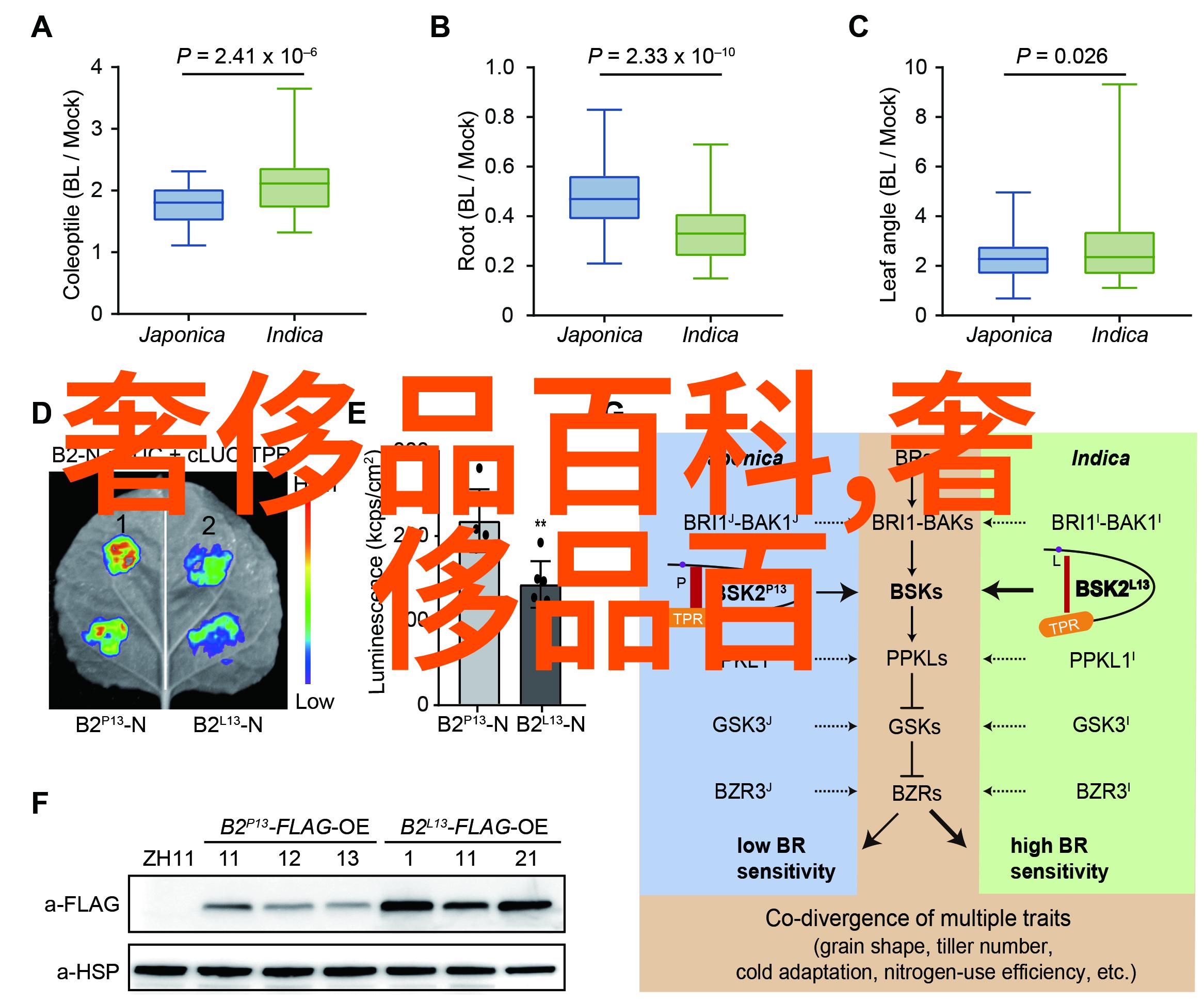 中国十大服装设计大学综述