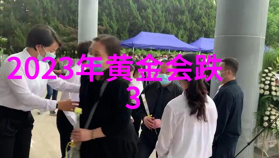 眼镜风格大集合时尚与个性相结合的视觉盛宴