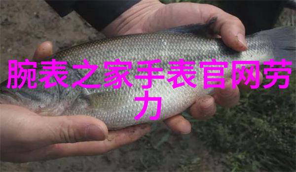 农贸市场-推着买菜车的日子鲜活食材与熟悉的村庄故事