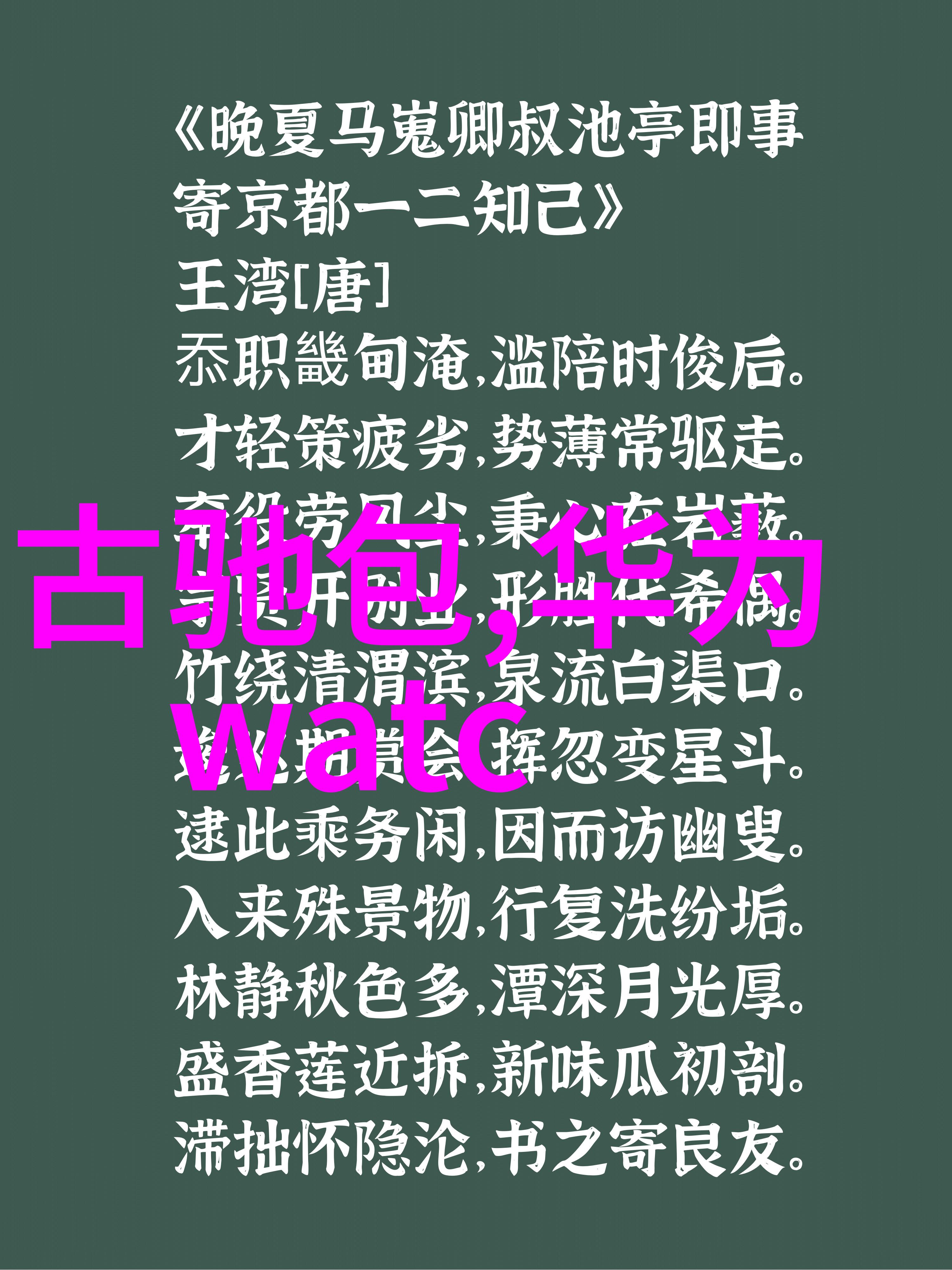 驾车时视频播放引起疼痛伴有声音但拒绝免费软件下载的解决之道