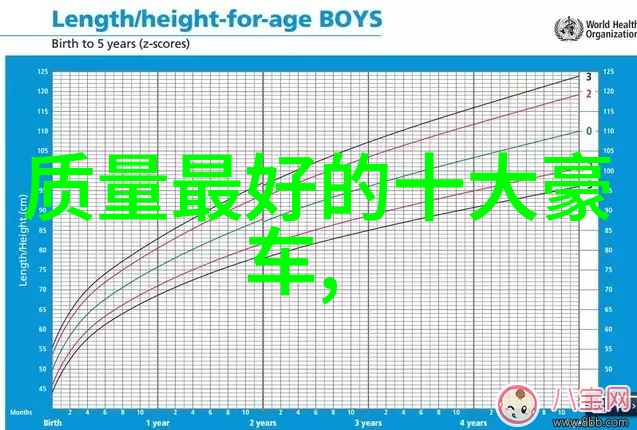 霍香正气水的秘密武器解锁其强大功效与作用