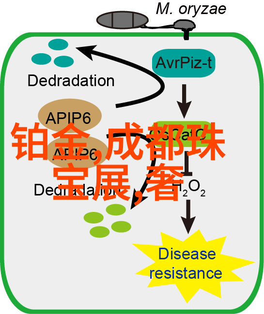 如何利用家居效果图预测未来的装修风格趋势