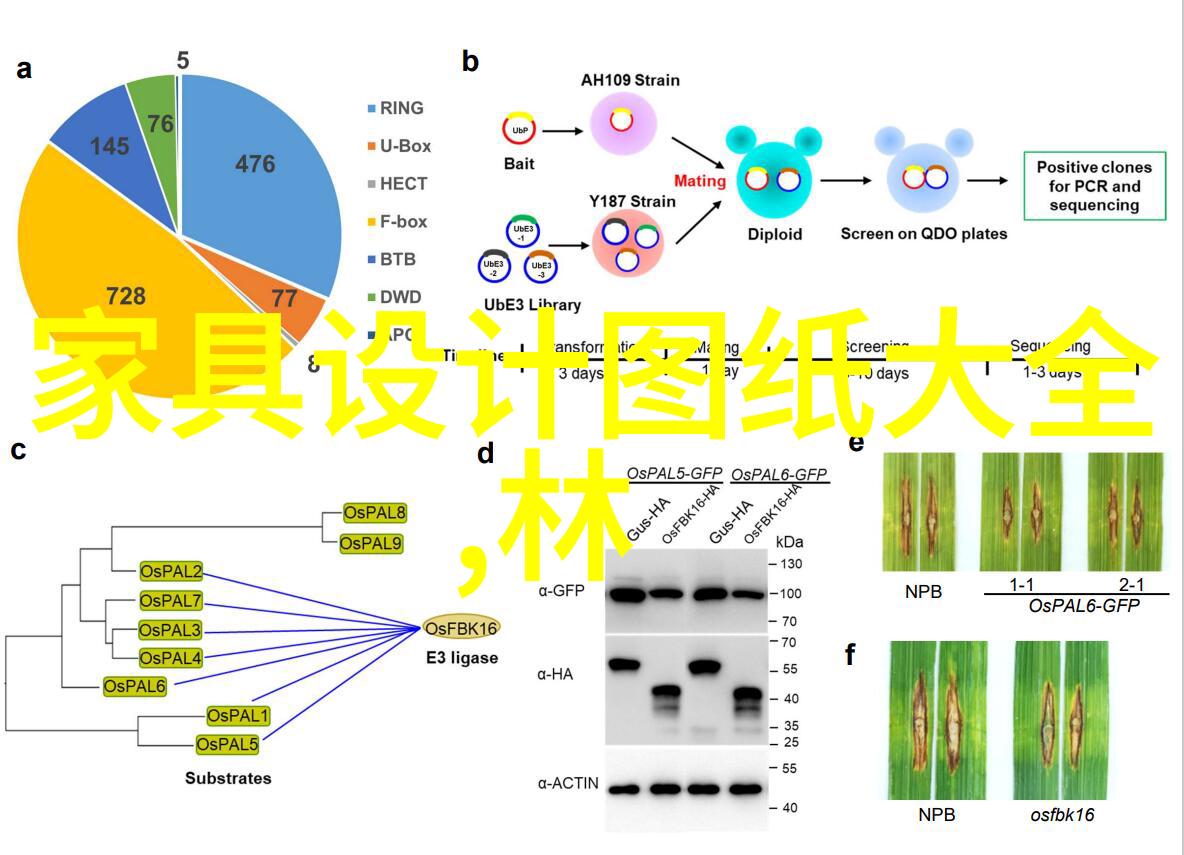 璀璨耀眼古今珠宝玉器的传奇