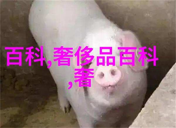 古驰香水我与古驰的那些缤纷日子从初恋到长大