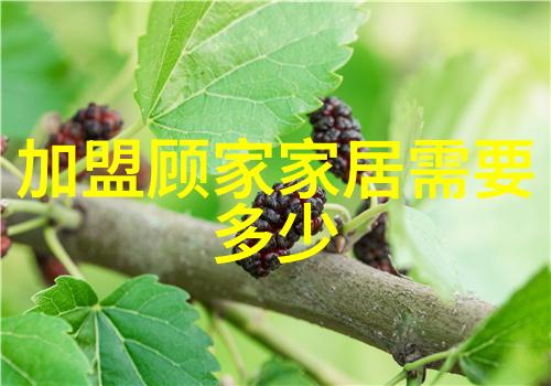 家里养了多肉植物都分支了需要一些漂亮的花盆把他们移植开