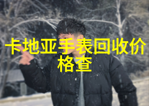 开启极致驾驭乐趣保时捷Boxter的独特魅力探秘