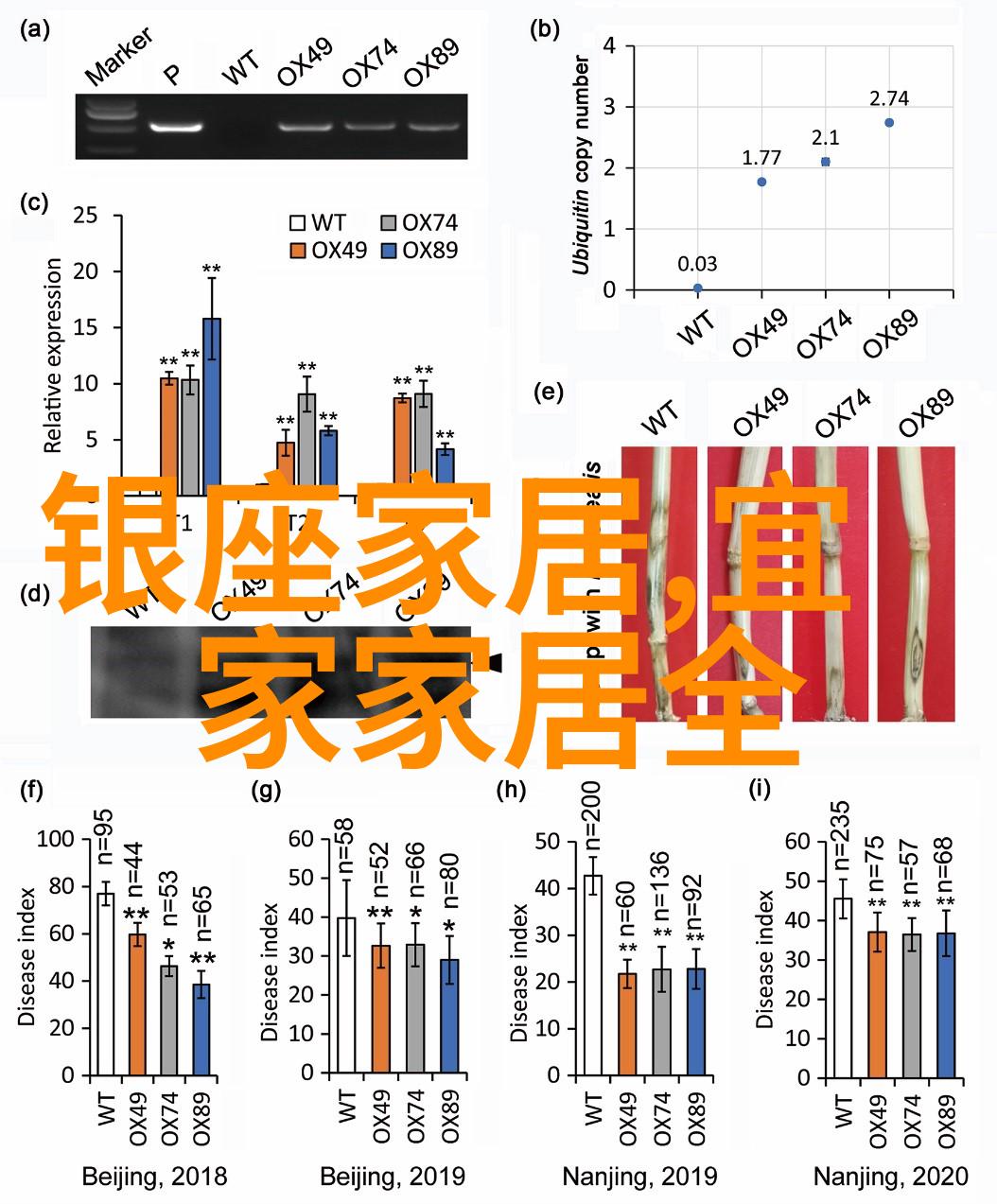 实木大班台-古朴温馨的教室中心地标