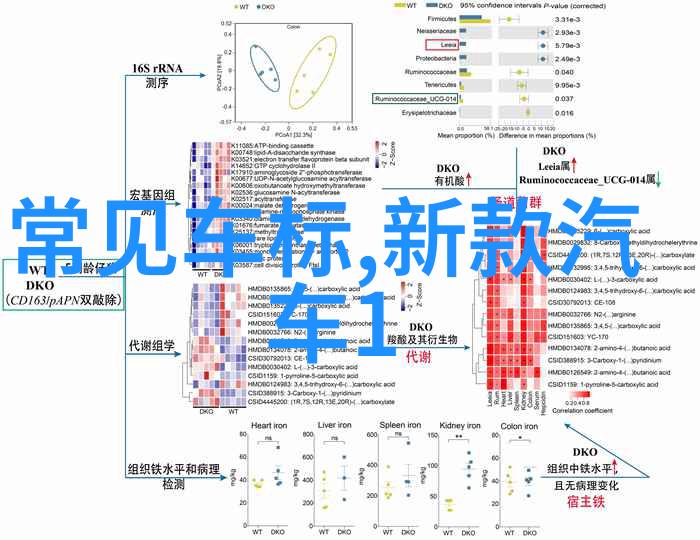 香水探秘揭秘香气的艺术与科学