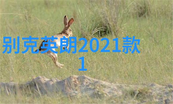 指针时速2020年度十大最佳腕表揭晓江诗丹顿宇舶表IWC万国表成赢家瑞士浪琴手表价格查询