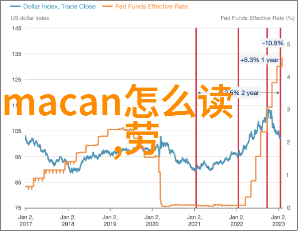 时尚之都的衣物诗篇