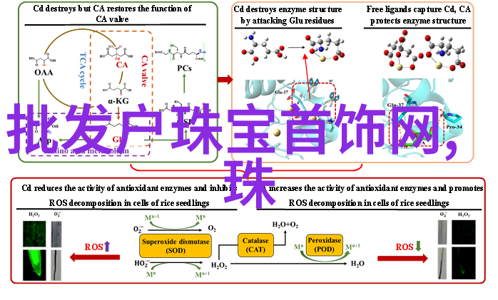 国庆七天乐日日一瓶宝格丽香水