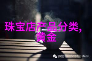 溥仪眼镜历史的见证与时光的倒影