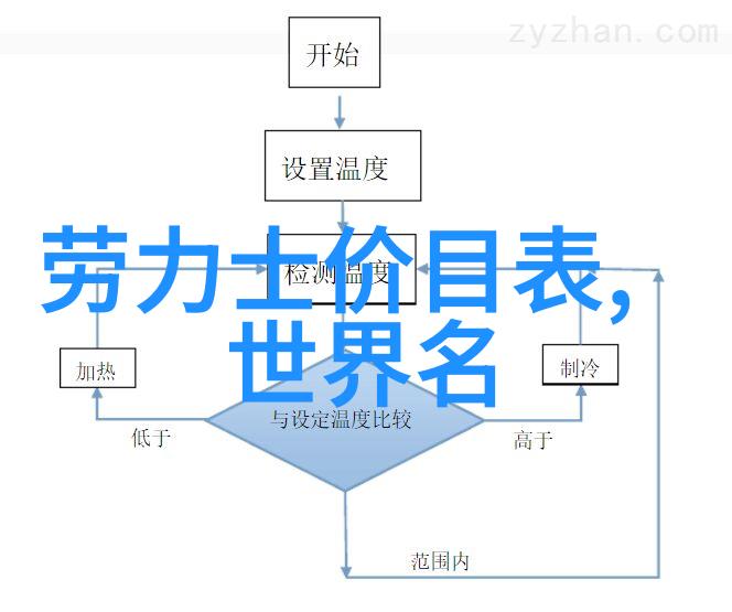 时代韵味与现代感最佳60岁女性洋气发型尝试指南