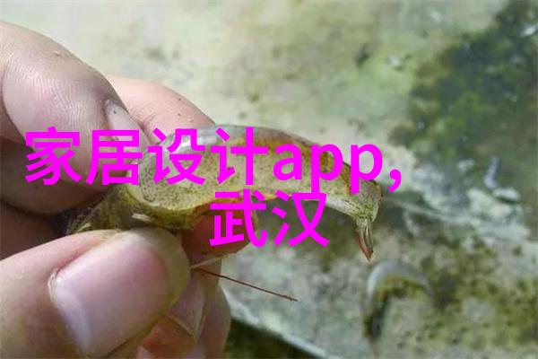 巴利文化的深邃之美探索古老文明的艺术与哲学