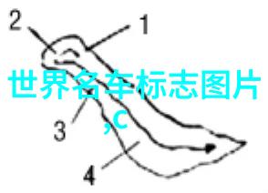 男士理发教学视频精通剪发技巧打造完美形象