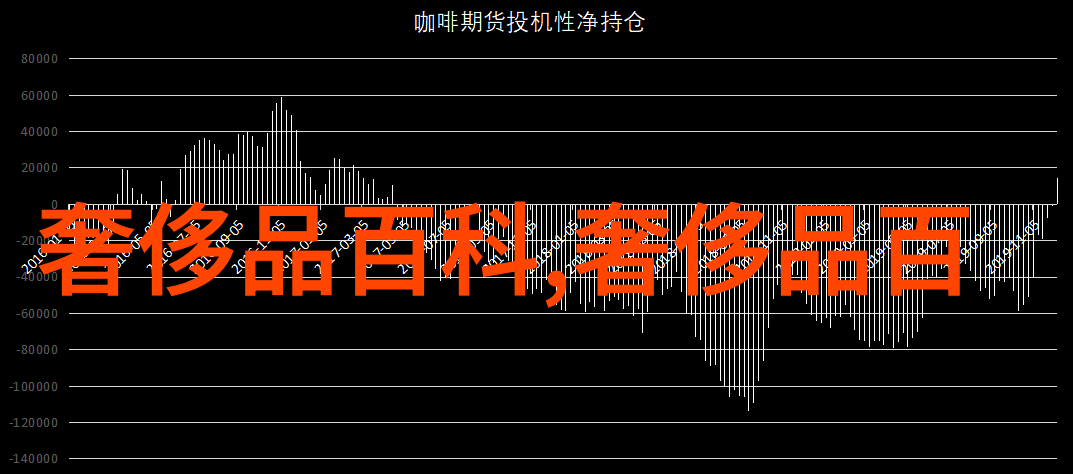 绽放的梦想一场甜美淑女发型编法的奇遇