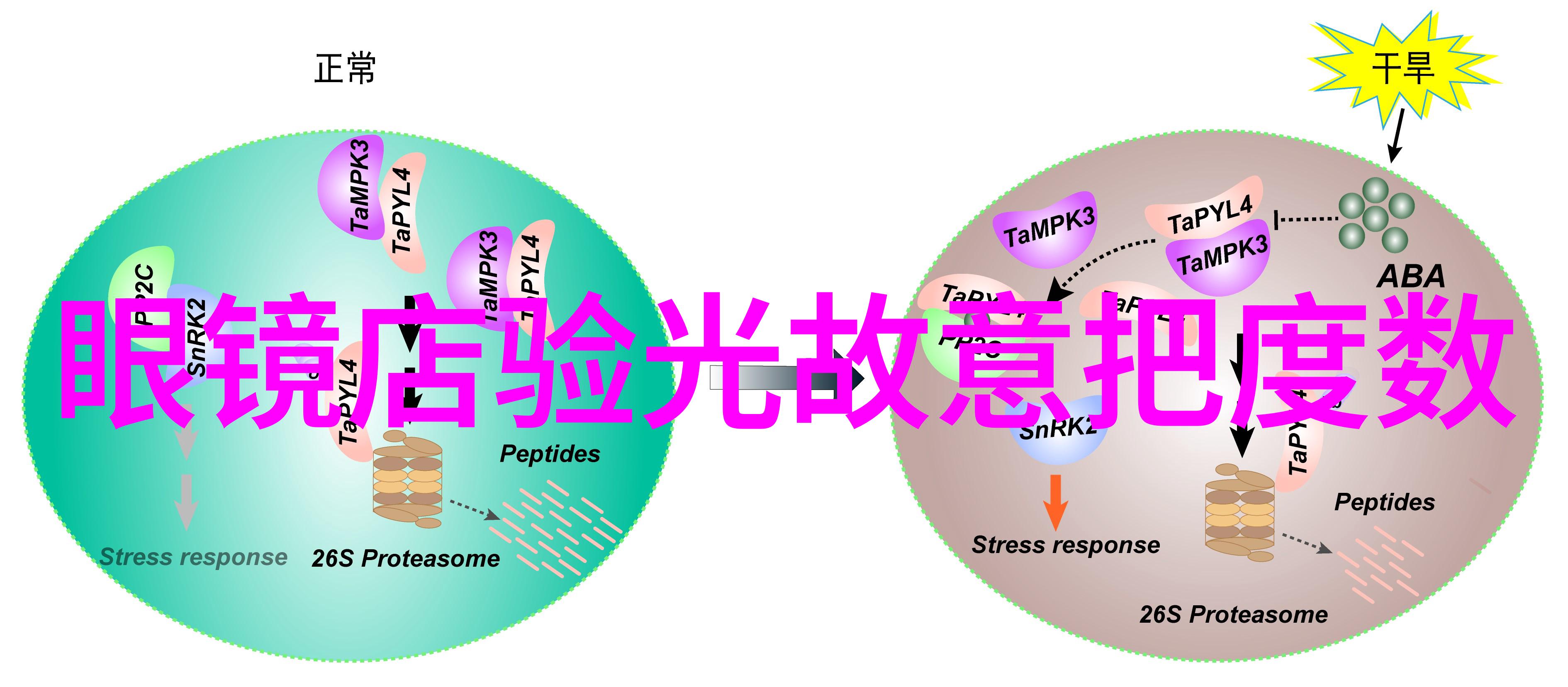 百凤缠龙全文目录揭秘我为何爱上这部奇幻小说百凤缠龙的每个精彩章节