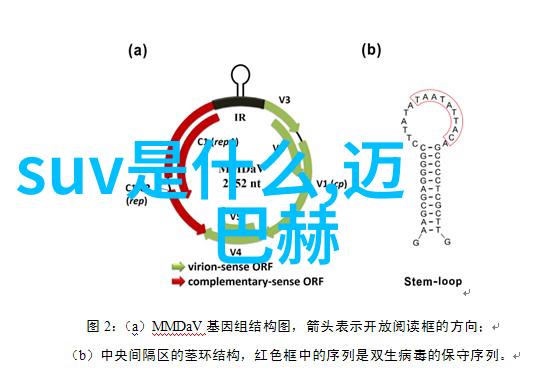 最新发型视频教学视频我来教你这些超火爆的发型技巧