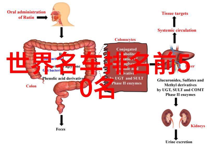 失忆男友的记忆之旅