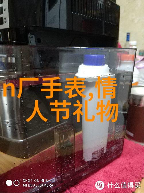 两个鸣巴曰一个双生花朵间的和谐共鸣