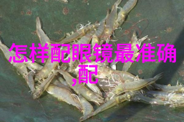 孙明赵兰梅小说阅读深度解析经典文学作品