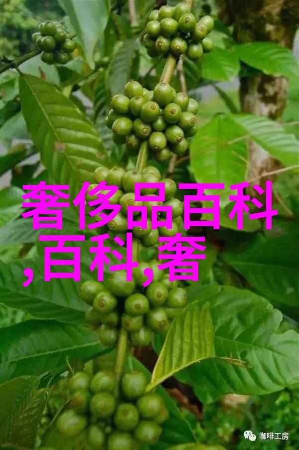 让爱不再被记录家的新定义