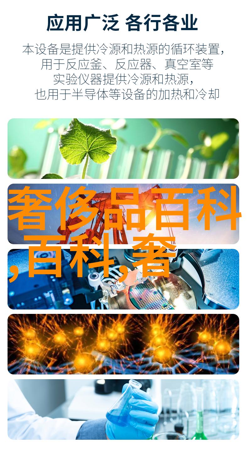 高能车辆多高性能汽车的魅力