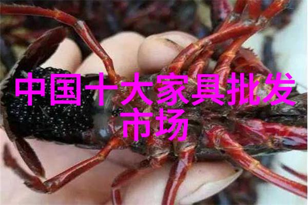 在这个遥远的星球上人们居住着一个名为jijia的神秘生物它们拥有怎样的生活方式和智慧呢