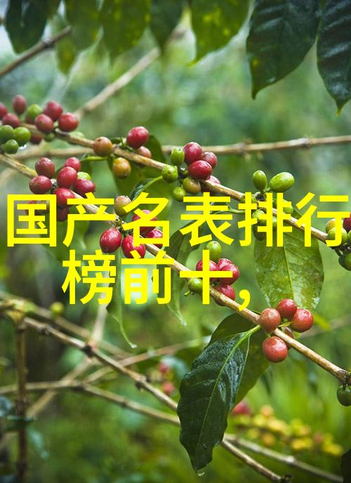 影音先锋中文字幕亚洲资源站丰富的电影电视剧下载平台