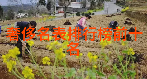 玩家心声分享你的十代雅阁游戏经历与感悟